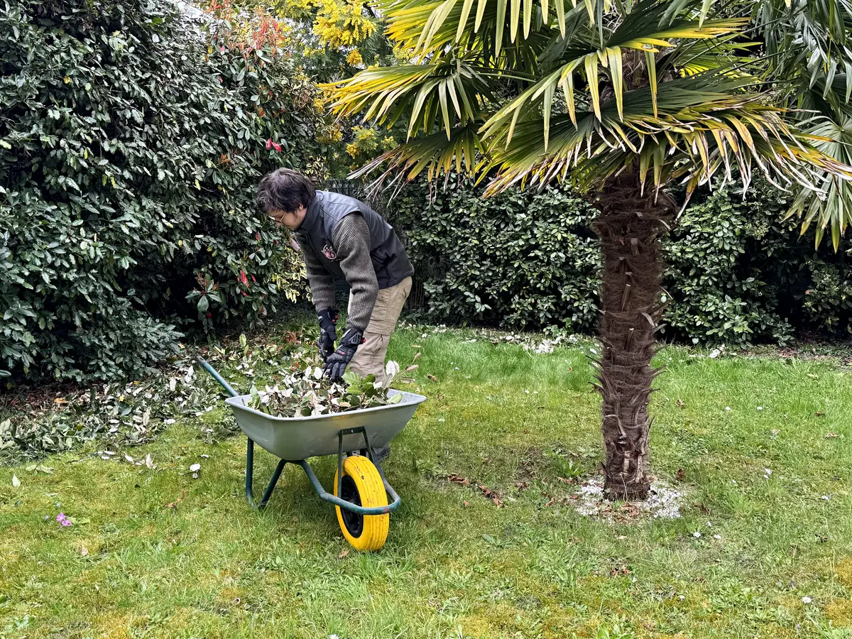 Ramassage des déchets du jardin à la brouette par l'équipe Sakura Home