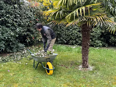 Ramassage des feuilles par Sakura Home
