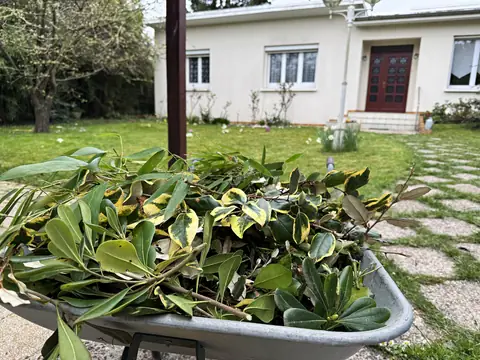 Évacuation des déchets verts par Sakura Home