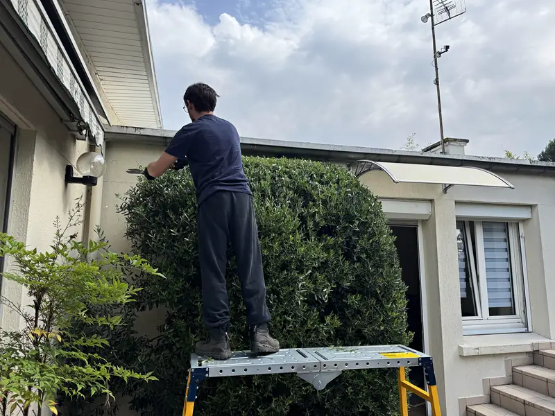 Taille d'une haie par un jardinier Sakura Home