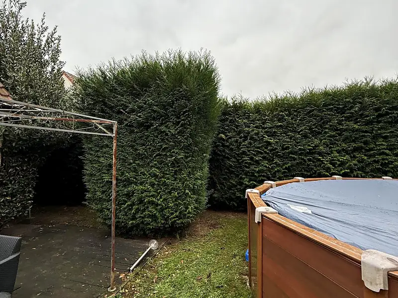 Haies de cyprès taillées net autour d'une piscine par Sakura Home