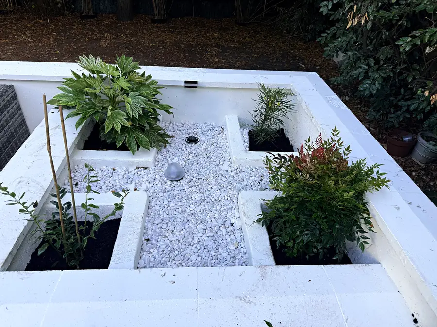 Le massif planté : Fatsia, Mahonia, Nandina et Sarcococca dans les bacs, autour de la croix de galets blancs