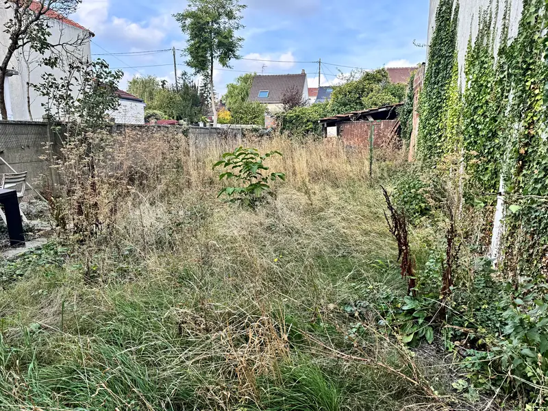 Avant débroussaillage : lierre sur le mur et herbes hautes