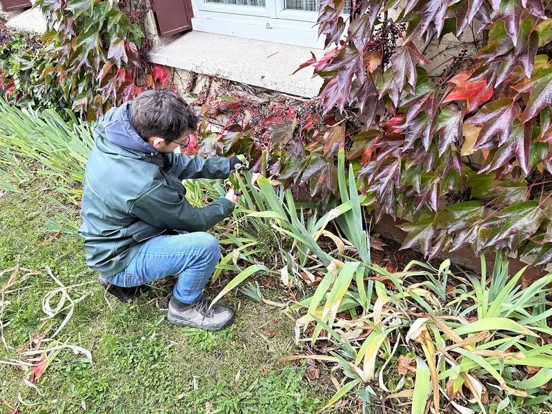 Un jardinier de Sakura Home nettoie un massif à l'automne